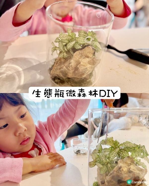 🚀動靜雙全！夏令營玩轉西沙💦｜#西沙夏令營