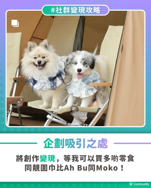 【社群變現攻略】用創作收益寵愛家中毛孩🐶