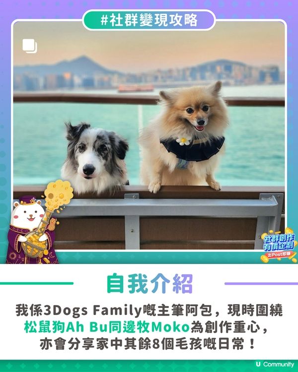 【社群變現攻略】用創作收益寵愛家中毛孩🐶