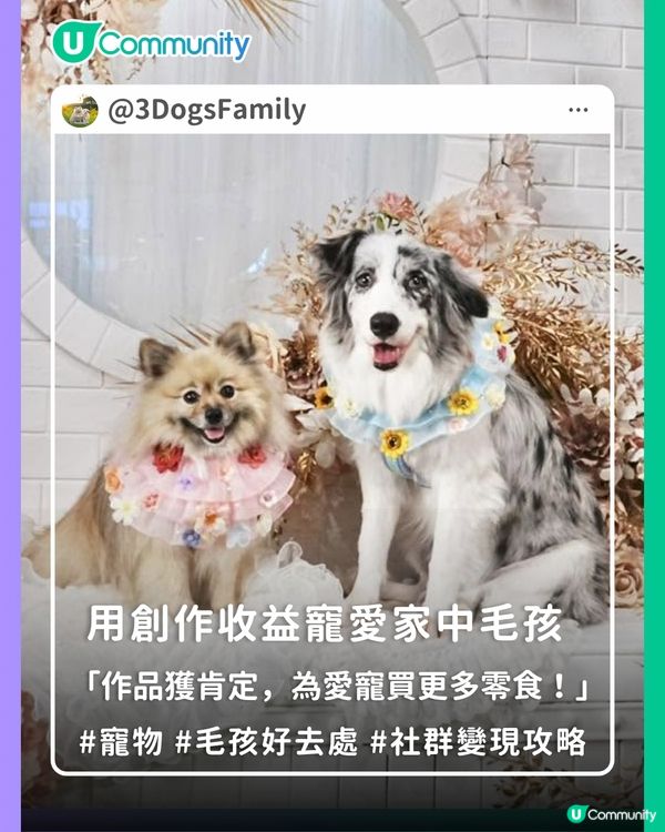 【社群變現攻略】用創作收益寵愛家中毛孩🐶