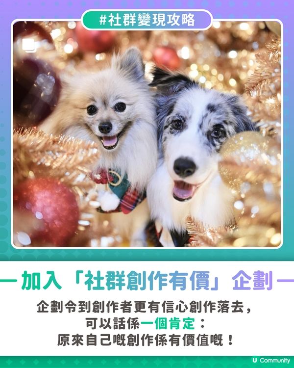 【社群變現攻略】用創作收益寵愛家中毛孩🐶
