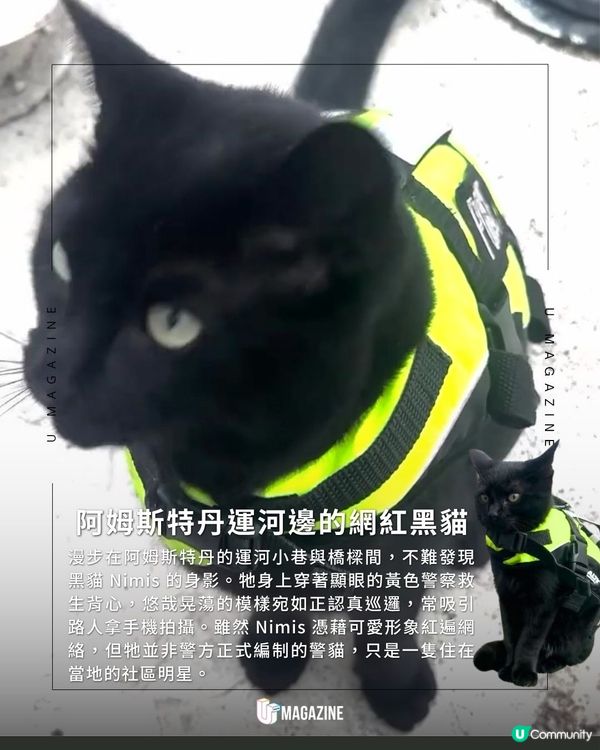 「警察貓」Nimis巡視阿姆斯特丹運河！吸引無數遊客打卡！連真警察都搶著合照                                                    