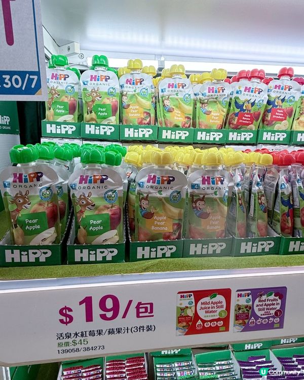 Sum媽直擊荷花bb展第一日🔥Hipp
