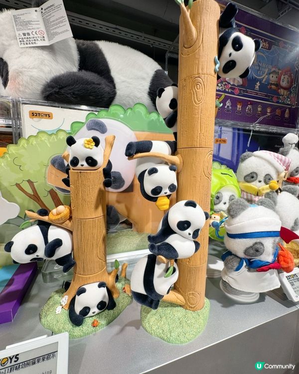 胖噠幼熊貓🐼拍照點大公開📸