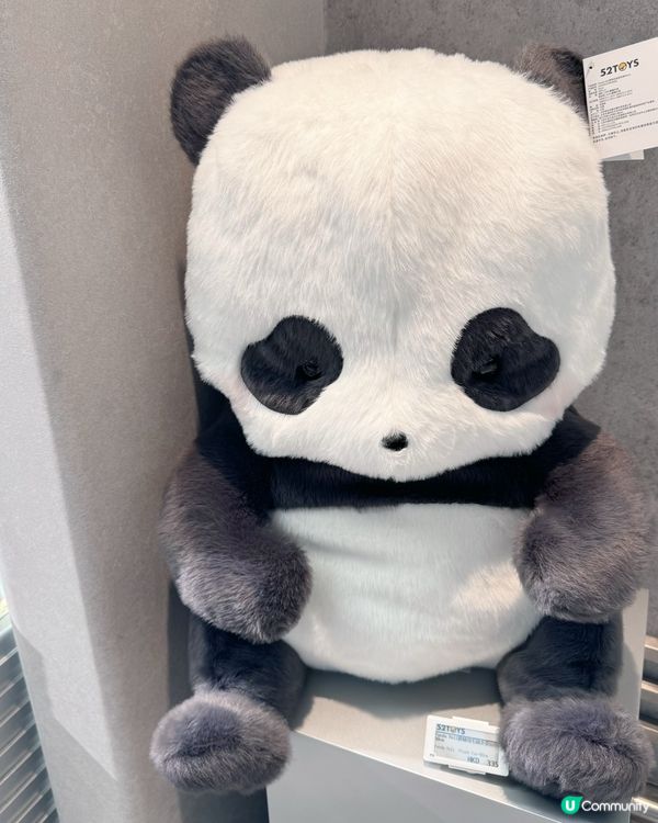 胖噠幼熊貓🐼拍照點大公開📸