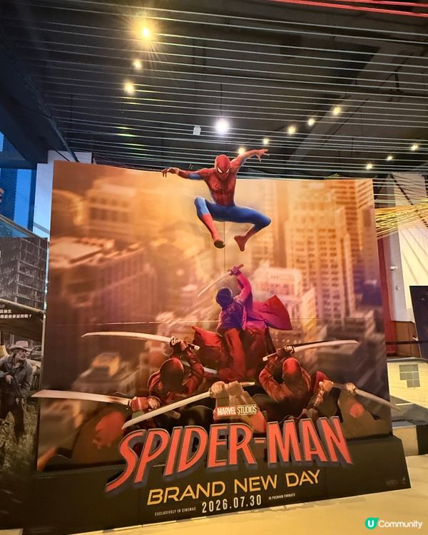 蜘蛛俠迷必睇！🕷️💖