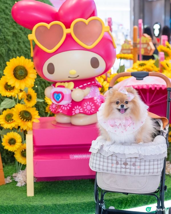 米蘇蘇同Melody Kuromi玩轉Yoho夏日樂園！☀️⛱️