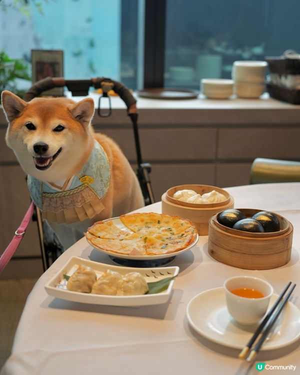 🫖陪食專員又上線·乖乖陪長輩飲菜💖