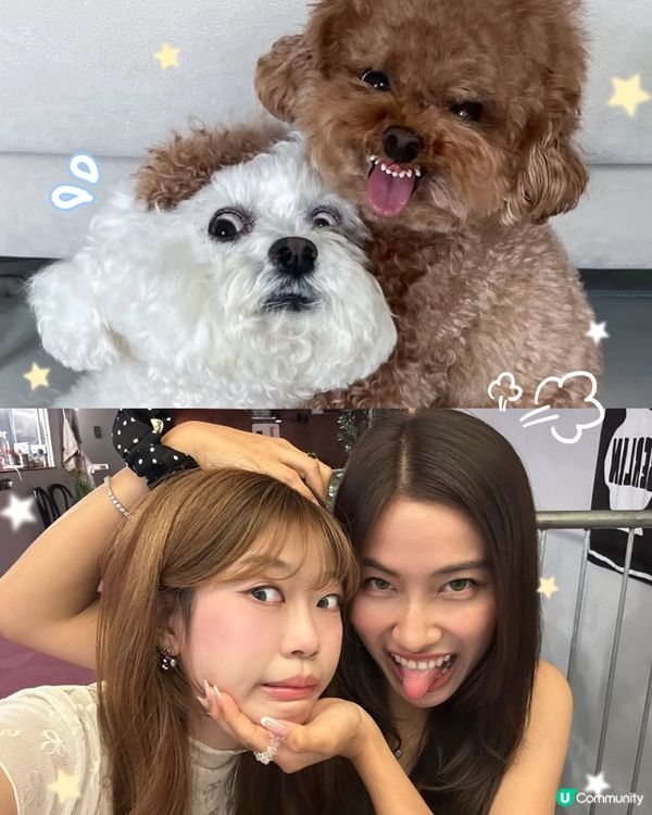 最近好興咁樣影!🤣