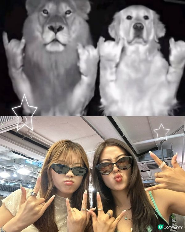 最近好興咁樣影!🤣