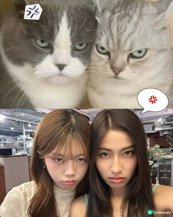 最近好興咁樣影!🤣