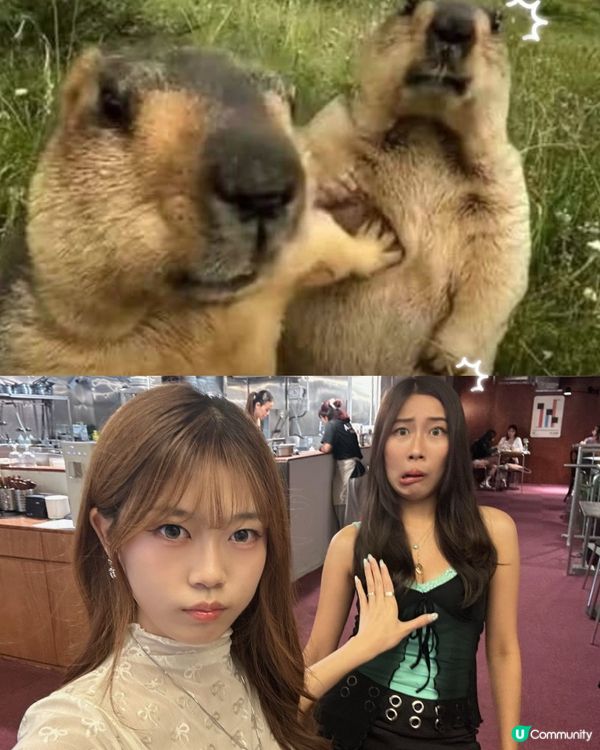 最近好興咁樣影!🤣