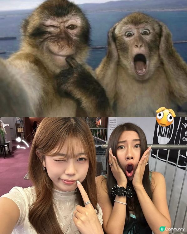 最近好興咁樣影!🤣