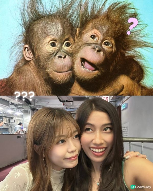 最近好興咁樣影!🤣