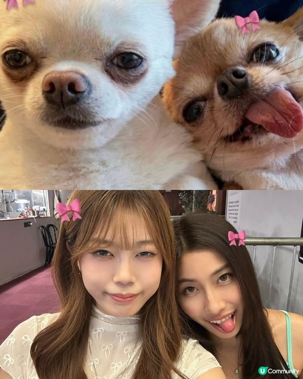 最近好興咁樣影!🤣