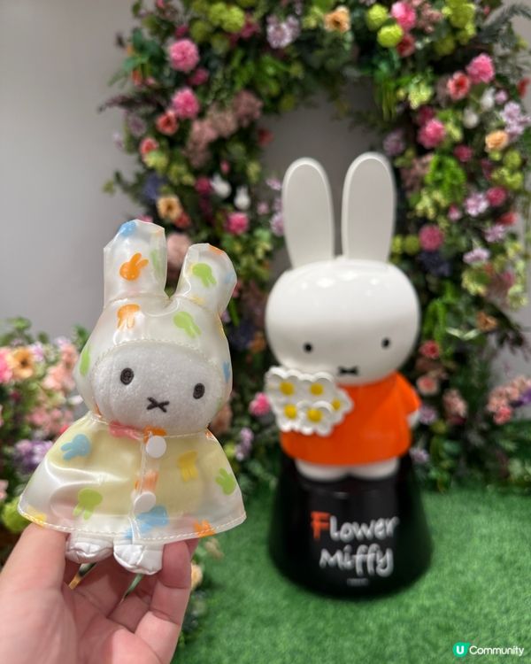 帶雨衣miffy去銅鑼灣打卡