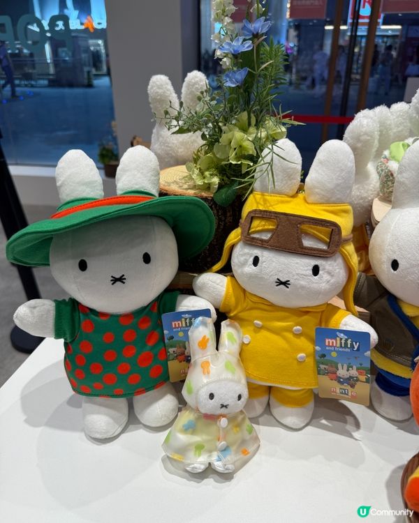 帶雨衣miffy去銅鑼灣打卡