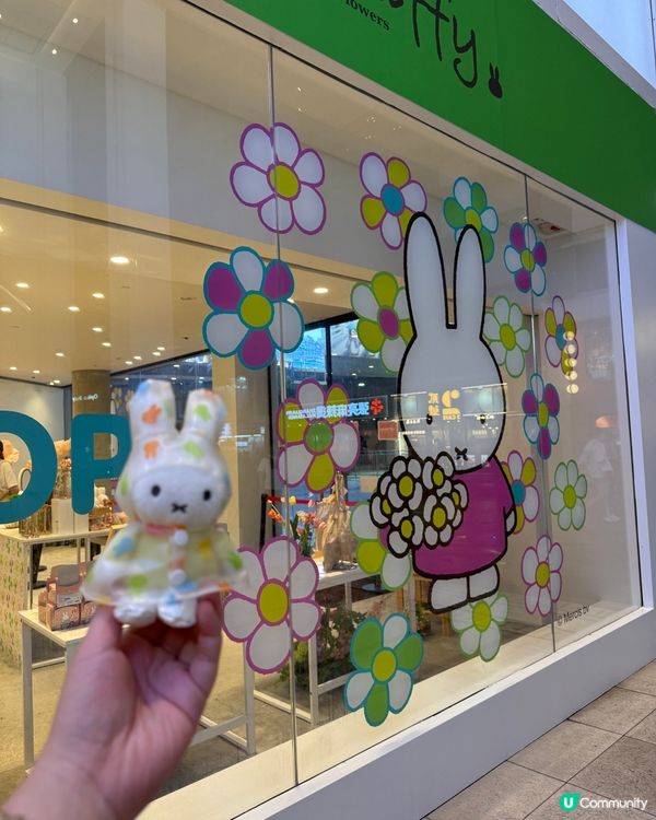 帶雨衣miffy去銅鑼灣打卡
