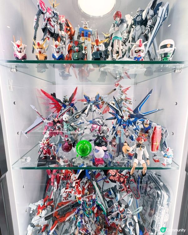 HOBBY WORLD 夢時代店📍 公仔與模型專賣店