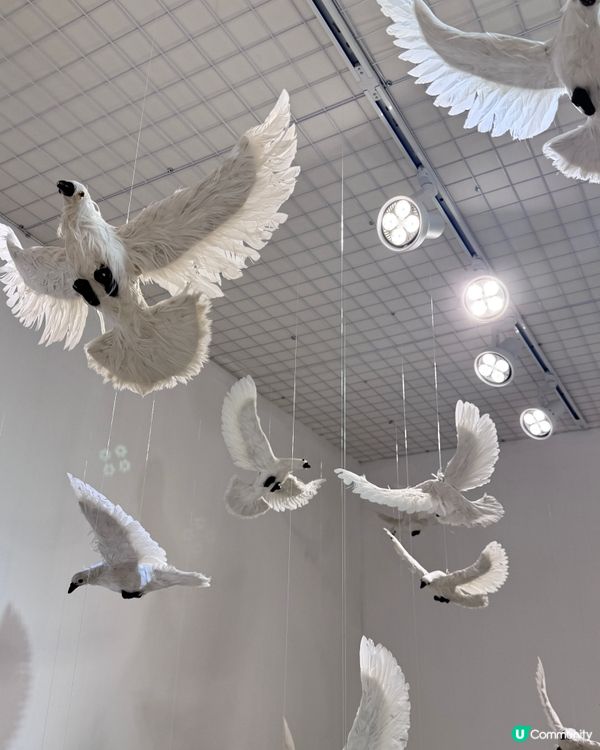 光與影的夢幻——再現大師藝術展
