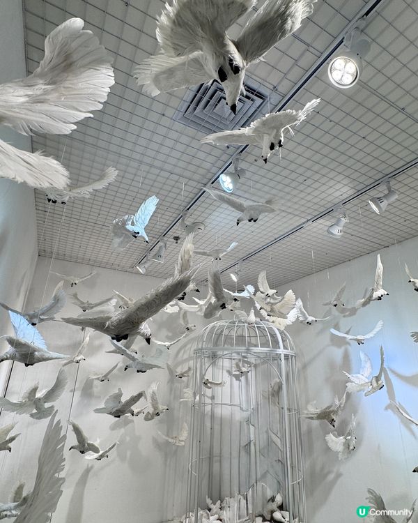 光與影的夢幻——再現大師藝術展
