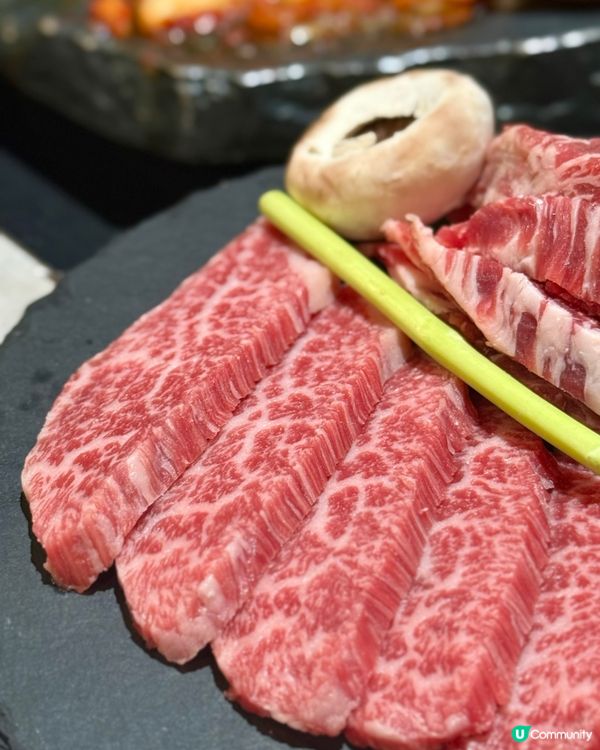 石板燒濟州黑毛豬🐖