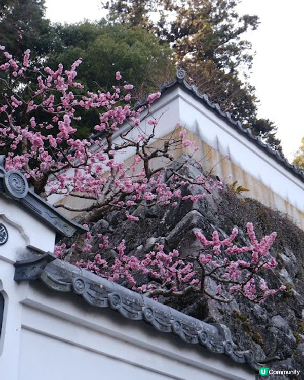 【旅遊日本】可愛造型纜車登生駒山上遊樂園