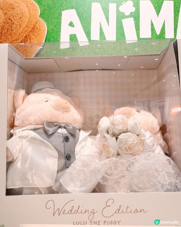 🪧📦免費入場必逛LuLu動物主題快閃✨🧸
