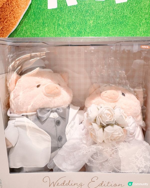 🪧📦免費入場必逛LuLu動物主題快閃✨🧸