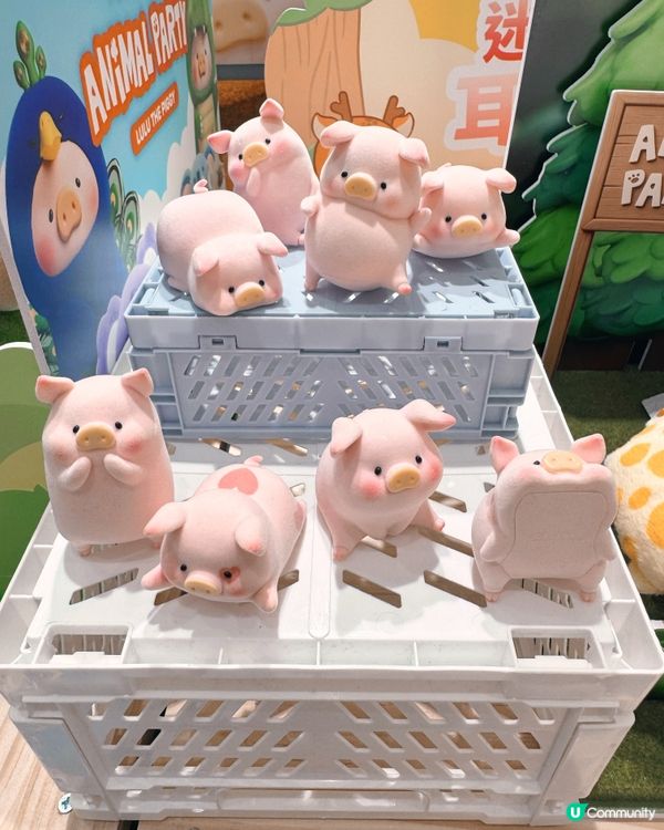 罐頭豬LuLu萌寵派對必搶新品🐷