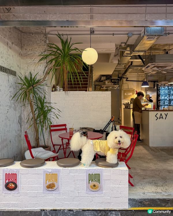 銅鑼灣鬧市韓風吹．毛孩友好新店🚨！