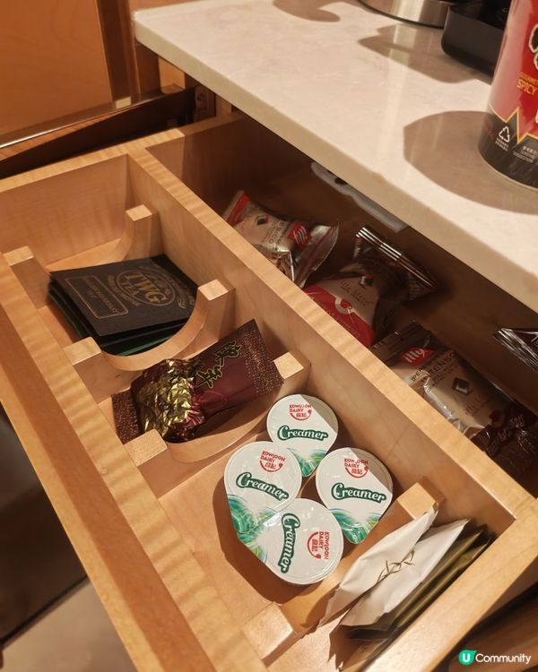 銀河嘆世界，貴賓級享受！有埋兒童天地✨