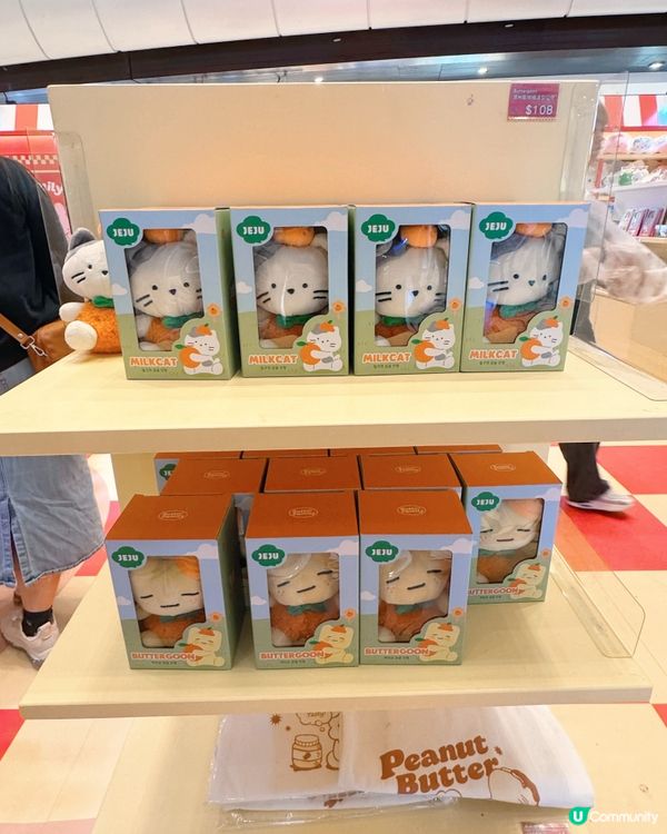 萌爆韓國小物！🇰🇷 青衣城快閃！🛍️