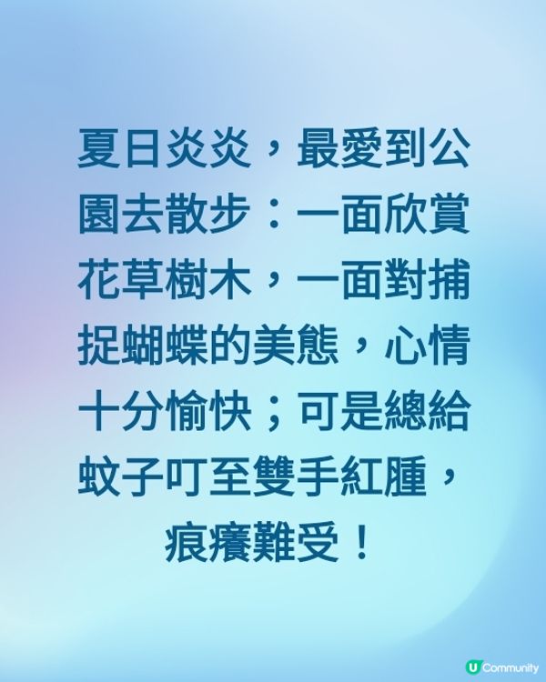 惱人的蚊子