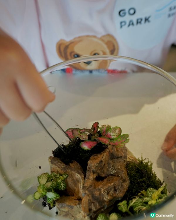 西沙GO PARK Fun Fun 夏令營