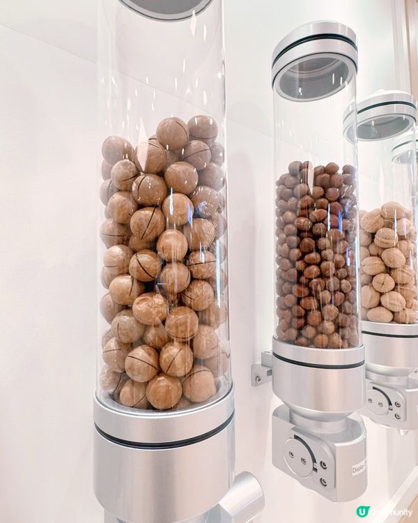 NUTTEA純素堅果奶蓋人氣推介🥜