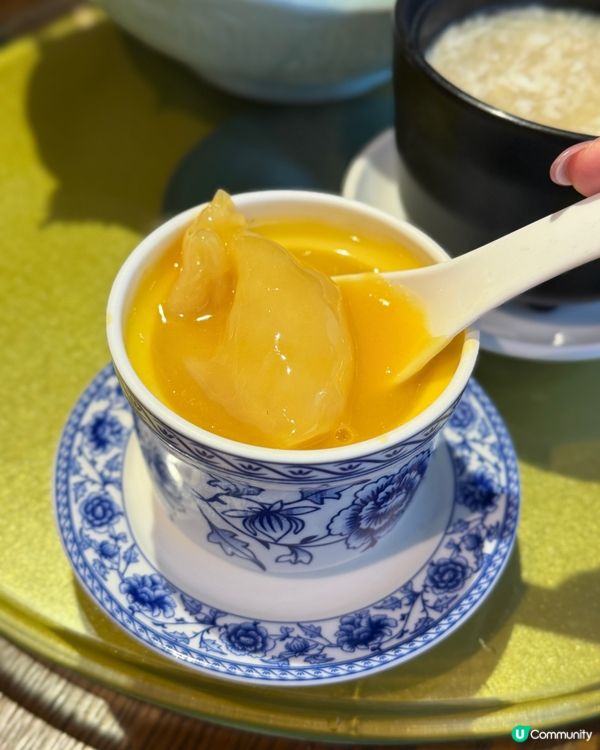 海港城羲和雅苑 🐦 $1388套餐值回票價！✨