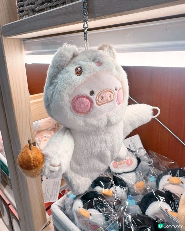 🐼🐻🎋高雄毛絨手信推介療癒滿分💯
