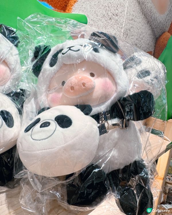 🐼🐻🎋高雄毛絨手信推介療癒滿分💯