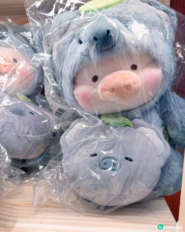 🐼🐻🎋高雄毛絨手信推介療癒滿分💯