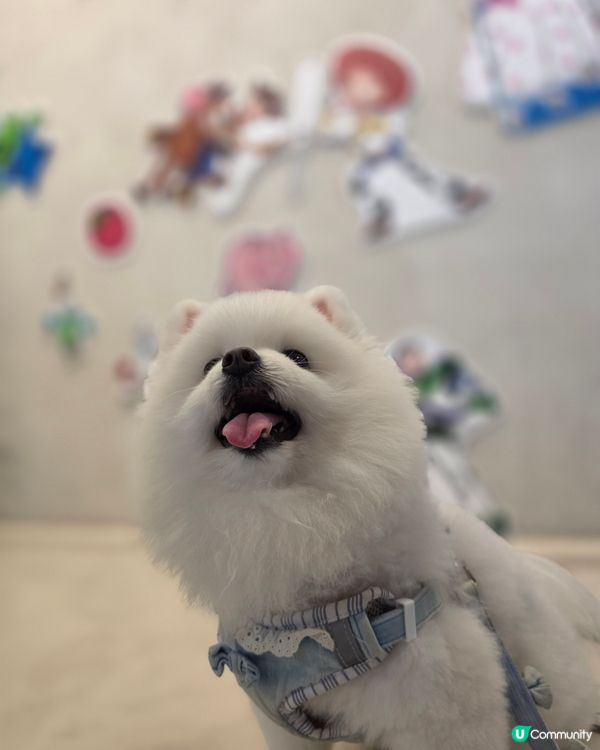 影相要有好心情！❣️🍦