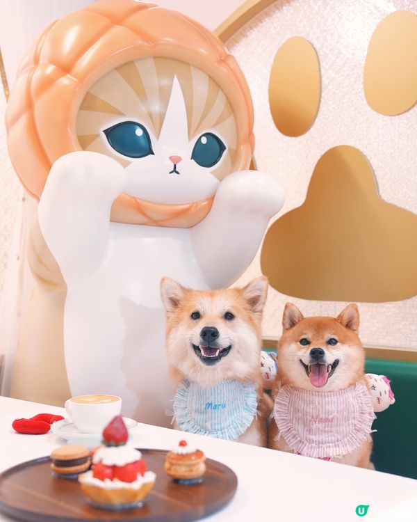 超人氣日本插畫貓咪 mofusand