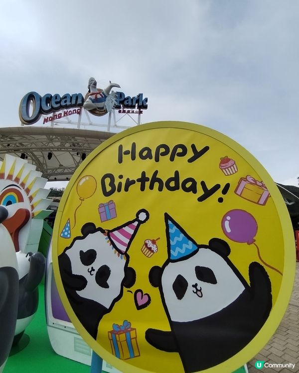 錯過再等一年！熊貓生日大派對倒數！Let's go!! 🐼