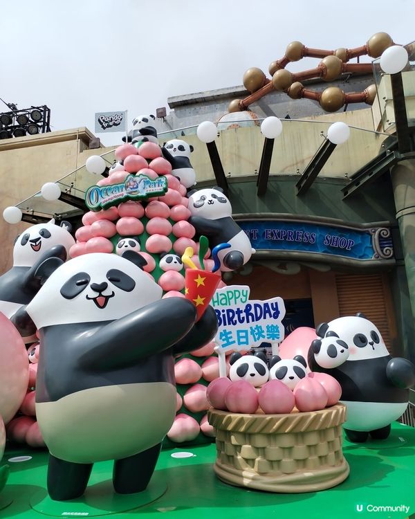錯過再等一年！熊貓生日大派對倒數！Let's go!! 🐼