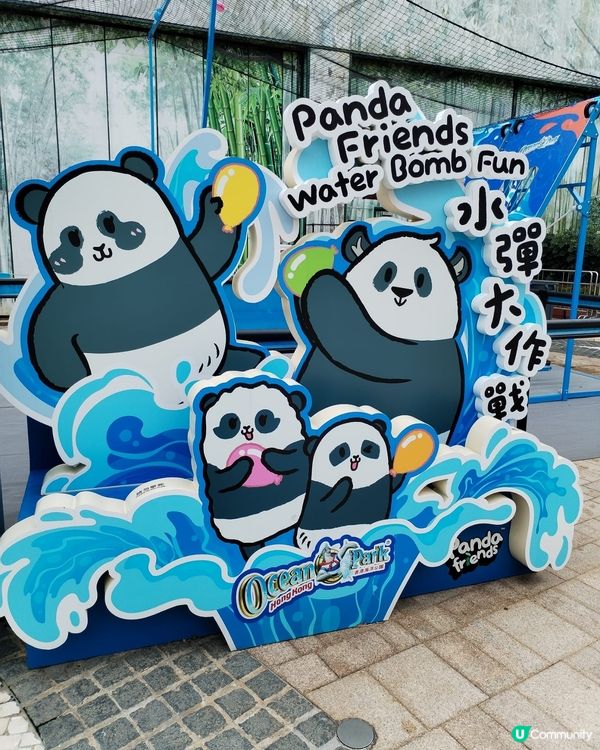錯過再等一年！熊貓生日大派對倒數！Let's go!! 🐼