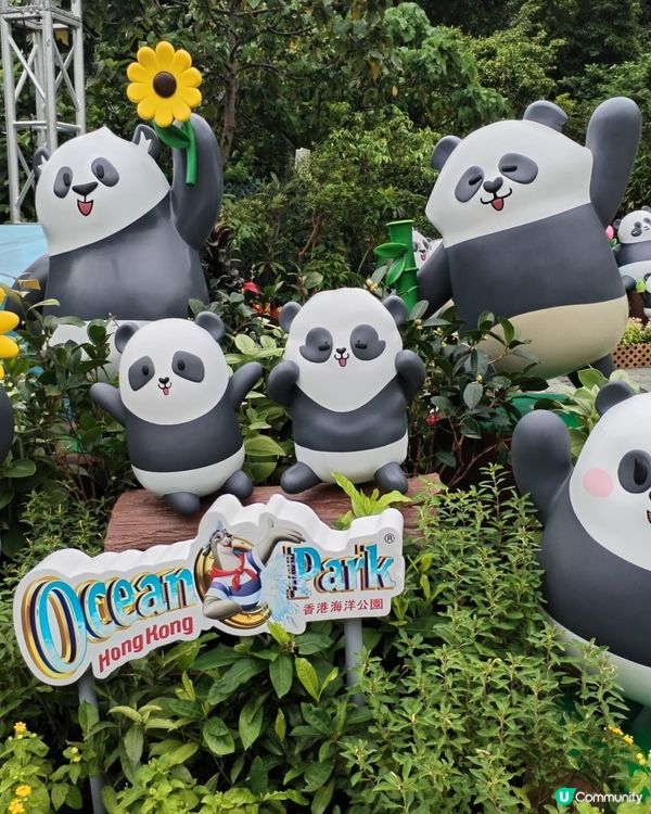 錯過再等一年！熊貓生日大派對倒數！Let's go!! 🐼