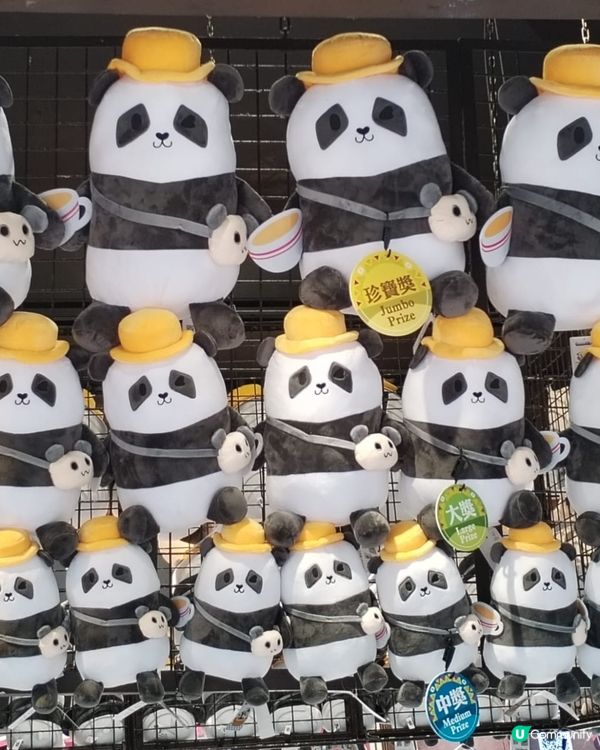 錯過再等一年！熊貓生日大派對倒數！Let's go!! 🐼