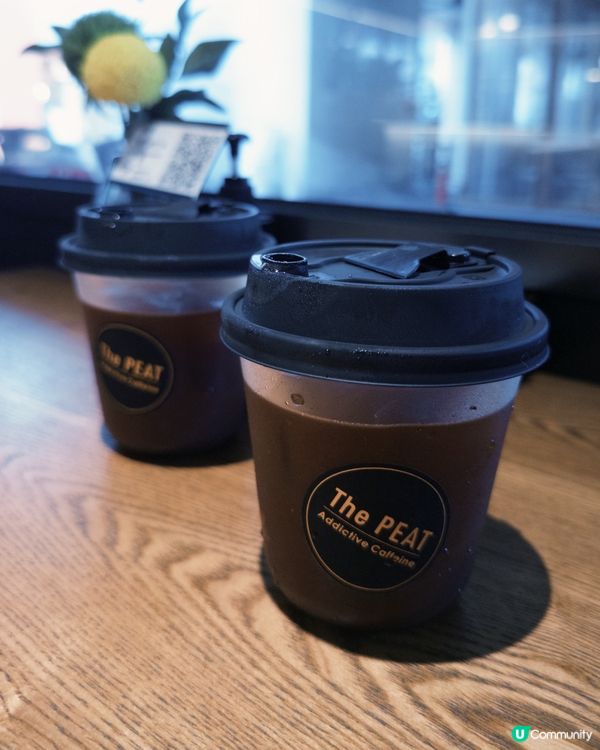深圳文青之旅 ☕️📚🤤Cafe Hopping
