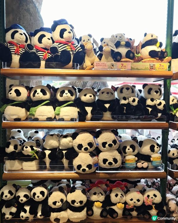 親子好去處🐼🌱🌿🌳海洋公園 玩轉夏日大熊貓生日大派對