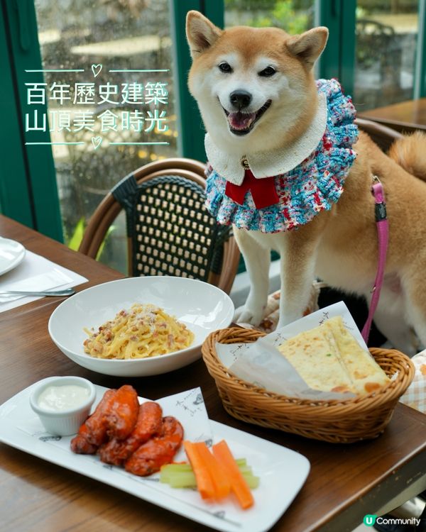🏛️百年歷史建築·山頂美食時光 🍝
